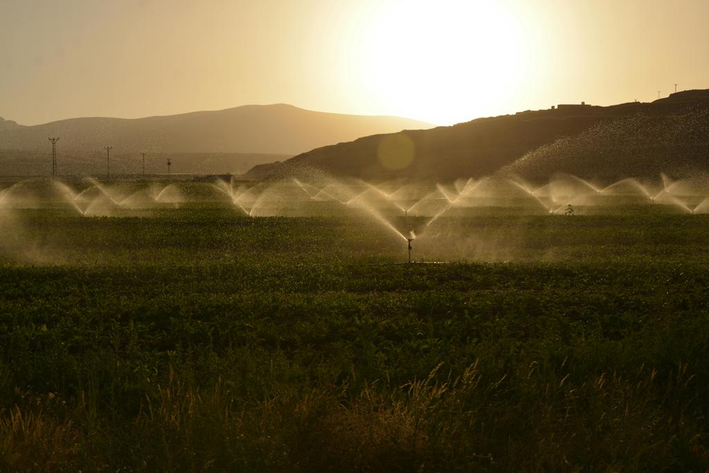 Agriculture image